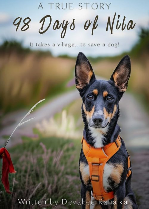 dog nila